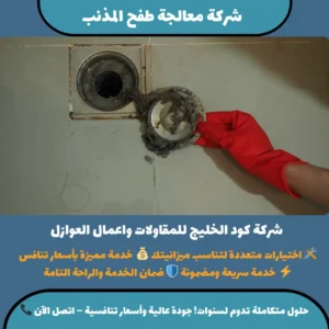 شركة معالجة طفح المذنب